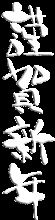 謹賀新年～2011年元日～初詣