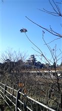 掛川城