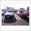 お正月は紅白で。ＺとＤＵＥＴ ...