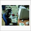 インテルってクレヨン屋さんの ...