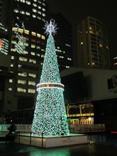 SACAS広場のクリスマスツリー 