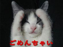 クマ嫁の居ぬ間に…