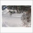 新雪は辛いのか？