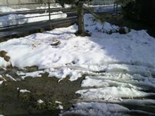 雪も解けてきました～^-^