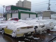 ☆　札幌のＣＲＵＩＳＥ災害②　（笑）　☆