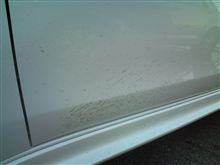 洗車しても落ちない、、、