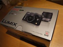 初めてのデジイチ
