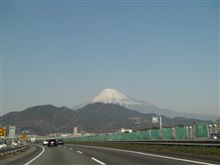 ただいま。そして今年もよろしくお願いします。