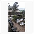 連休3日目