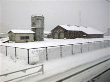 雪を観に・・・ 雪を観に・・・