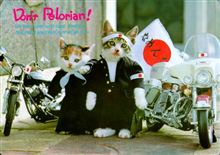 70s!80s!ざぁ!★暴走族★