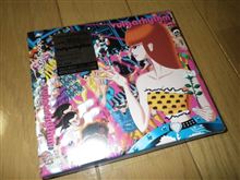サミカッタ～