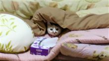 間違い探し。