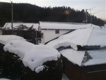 ですね 