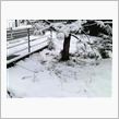 積雪も解け始めてます～^-^