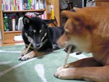 疲れました・・・