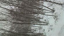 吹雪いてるぞ！テールスライドしまくり