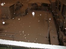 久々の積雪