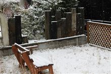 雪といちごと湘爆と。。。w