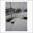 雪の降る龍ケ崎