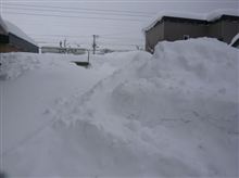 超豪雪で疲れるよ┐(￣ヘ￣）┌