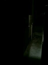 寒さのあまり
