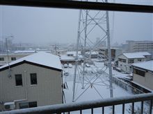 名古屋は大雪でした