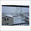 名古屋は大雪でした