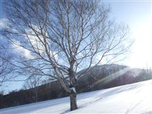 冬の寒さについて一考