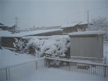 オ波ー!(　^-)＜≡≡(((( ☆ドゴーン!☆)&#180;0｀)ﾉ ハウー 【2011/01/17】