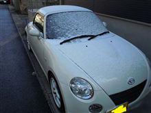 初雪(ﾟдﾟ)