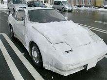 雪に埋もれてきました。。。