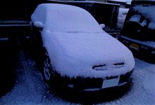すごい雪だった・・・・ すごい雪だった・・・・