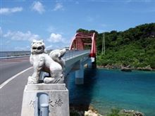 やれやれの寒さですな┐(-。ー;)┌