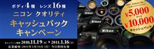 滑り込みで。。。