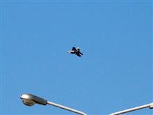ぽかぽか陽気