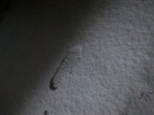 この冬の、寒波の被害、比叡山でスタックも、、