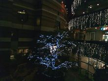 福岡の夜