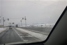 雪や。