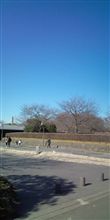 公園