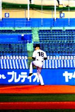 神宮に散る