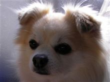 ご報告致します…
