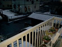 雪ですねぇ