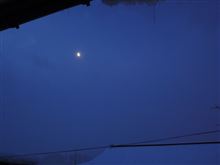 1月28日 小雪舞う3連休初日の金曜日、おはです~♪ 1月28日 小雪舞う3連休初日の金曜日、おはです~♪