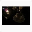 夜カフェ～♪