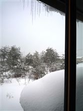 もう雪は・・・