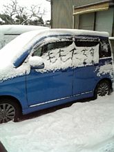 今日も雪