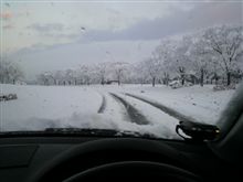 やっぱ積もったね