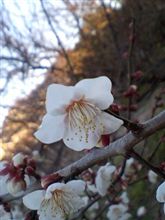 おはようございますーーー♪