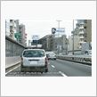 我々はモルモットではない